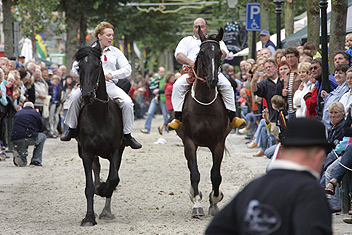 dag van het schaap