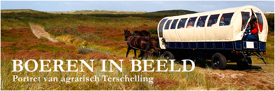 BOEREN IN BEELD - Portret van agrarisch Terschelling