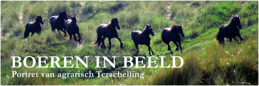 BOEREN IN BEELD - Portret van agrarisch Terschelling