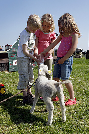 kinderboerderij